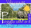 paolociscato001001.jpg